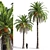 Tropical Paradise Date Palm 3D model small image 1