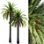 Tropical Paradise Date Palm 3D model small image 2