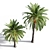 Tropical Paradise Date Palm 3D model small image 4