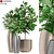 Exquisite Fleurami ROYAL Plant Collection 3D model small image 1