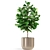 Exquisite Fleurami ROYAL Plant Collection 3D model small image 2