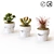 Naturalistic Artificial Succulents 3D model small image 1