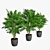 Trio of Palm Plants in Pots 3D model small image 2