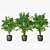 Trio of Palm Plants in Pots 3D model small image 3