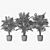 Trio of Palm Plants in Pots 3D model small image 4