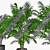 Trio of Palm Plants in Pots 3D model small image 5