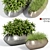 Exquisite Fleurami ROYAL Plant Collection 3D model small image 1