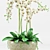 Orchid Flower Pot 200: Max 2012 & FBX 3D model small image 2