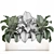 Tropical Plant Collection: Alocasia Macrorrhiza in White Pots 3D model small image 4