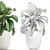 Exotic Indoor Plant Collection with White Pots 3D model small image 5
