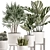 Tropical Plant Collection in White Pots 3D model small image 4