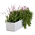 Window Flower Box in Pink 3D model small image 4