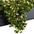 Elegant Black Planter with Vibrant Yellow Blooms 3D model small image 2