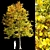 Linden Tree: Polys 910 Vertex Color 3D model small image 1