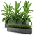 Indoor & Outdoor Plant Collection: Banana Palm, Monstera, Aspidistra & Grass 3D model small image 1