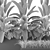 Indoor & Outdoor Plant Collection: Banana Palm, Monstera, Aspidistra & Grass 3D model small image 2