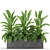 Indoor & Outdoor Plant Collection: Banana Palm, Monstera, Aspidistra & Grass 3D model small image 3