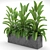 Indoor & Outdoor Plant Collection: Banana Palm, Monstera, Aspidistra & Grass 3D model small image 4