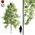 Elegant Tupelo Tree: 7.20m Height 3D model small image 1