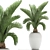 Tropical Palm in White Pot - Exotic, Indoor Plant 3D model small image 1