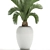 Tropical Palm in White Pot - Exotic, Indoor Plant 3D model small image 4