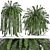 Tropical Fern Collection in Black Pot 3D model small image 4