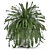 Tropical Fern Collection in Black Pot 3D model small image 5