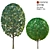 Dual-Leaf Shrub Combo | Corona Materials 3D model small image 1