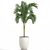 Tropical Palm in White Pot 3D model small image 2