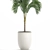 Tropical Palm in White Pot 3D model small image 4