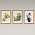 Zeng Xiao Lian Paintings Set: Aged Canvas 3D model small image 1