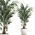 Tropical Palm: Exotic Indoor Plant Collection 3D model small image 1