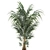 Tropical Palm: Exotic Indoor Plant Collection 3D model small image 3