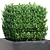 Lush Bush Plants for 3D Modeling 3D model small image 2