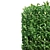 Lush Bush Plants for 3D Modeling 3D model small image 4