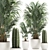 Tropical Paradise Plant Collection with White Pot 3D model small image 1