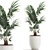 Tropical Paradise Plant Collection with White Pot 3D model small image 4