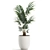 Exotic Plant Collection: Howea Forsteriana 3D model small image 2