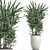Exotic Tropical Indoor Plant Collection 3D model small image 2
