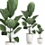 Tropical Indoor Plants Collection 3D model small image 1