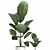 Tropical Indoor Plants Collection 3D model small image 4