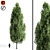  Majestic Cypress Oak Tree Growth 3D model small image 1