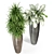 Exquisite Fleurami Royal Plant Collection 3D model small image 2