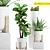 LushGreenery: 270 Plants Pack 3D model small image 1