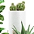 LushGreenery: 270 Plants Pack 3D model small image 3