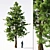 Virginian Juniper | Evergreen Landscape Beauty 3D model small image 1