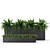 Indoor Outdoor Plant Collection 3D model small image 1