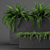 Indoor Outdoor Plant Collection 3D model small image 4