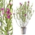 Elegant Oleander Plant: 3D Model 3D model small image 1