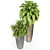 Royal Fleurami: Exquisite Plants Collection 3D model small image 2